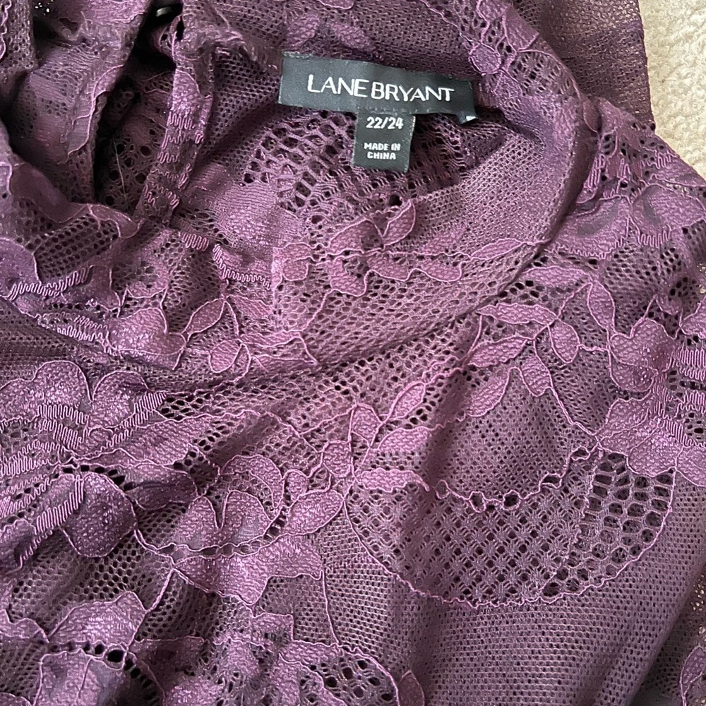 Rich plum/bergamot colored blouse, lace, mock turtleneck with button. Stretchy